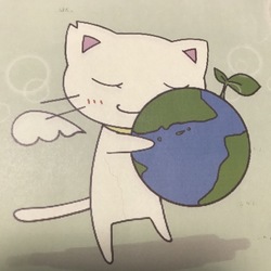 猫の譲渡会 