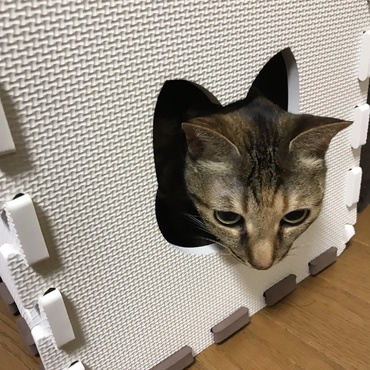 トンネルから顔を出す