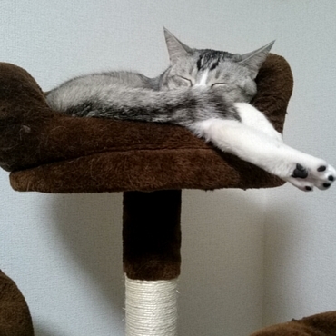 お気に入りはタワー最上階♡