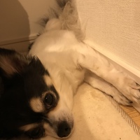 ソラ