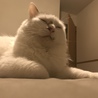 そまちー