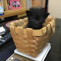 良縁に恵まれました