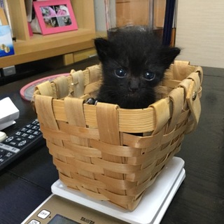 良縁に恵まれました