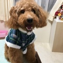 可愛がって頂ける方探してます