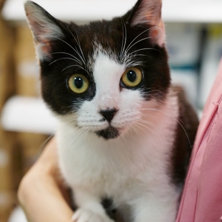 おもちゃ大好きっ子なパンくん