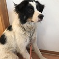 交渉中