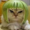 ルルレモン 