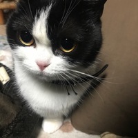 メイ