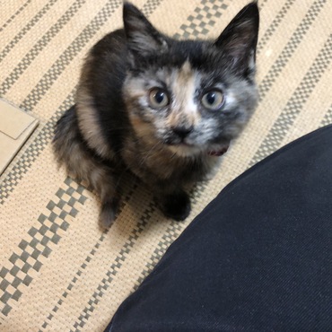 おぬしちゃんの写真