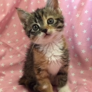 5/27 馬喰町会場☆なみちゃん