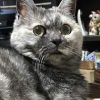 にぃに