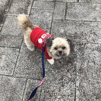 ラブ