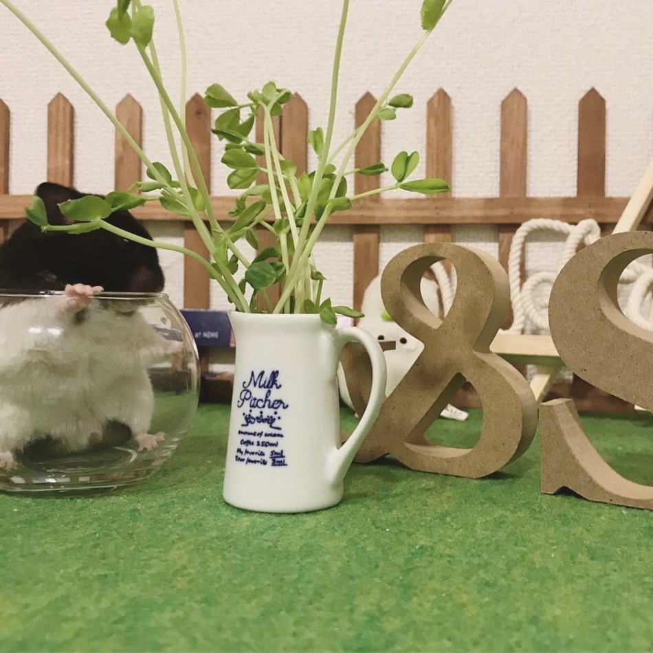 そらのカバー写真