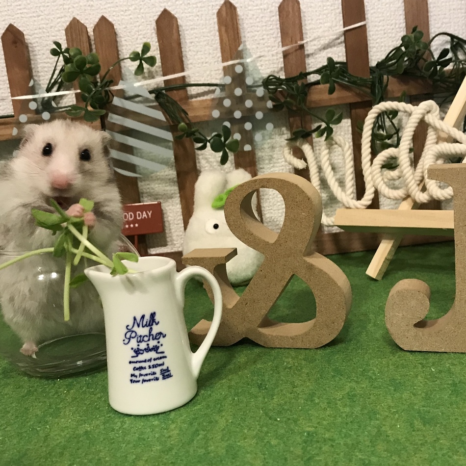 じゅりあのカバー写真