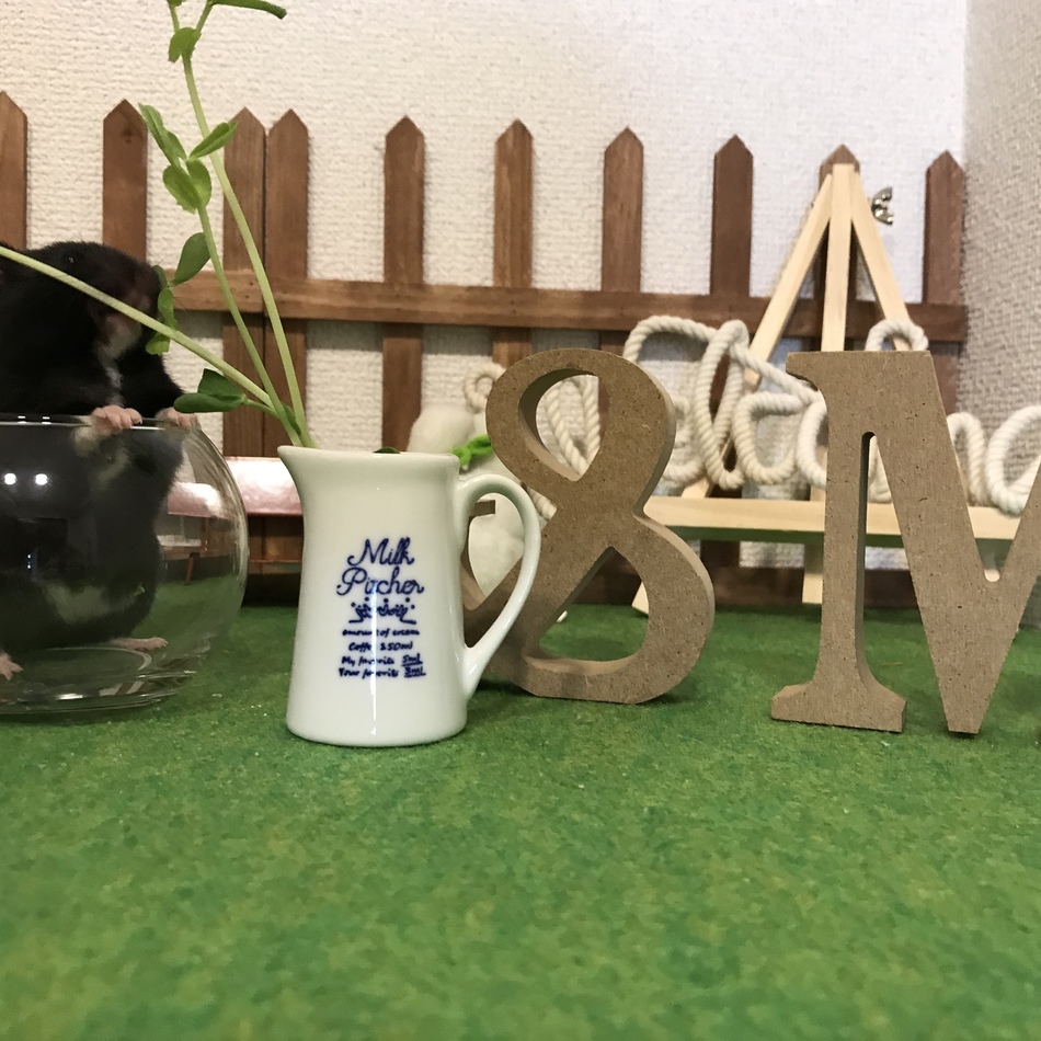 もかのカバー写真