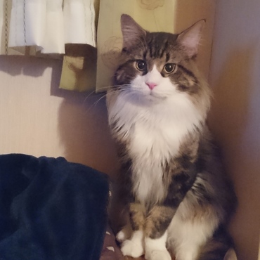 ストーカーの様にいつも背後にいます