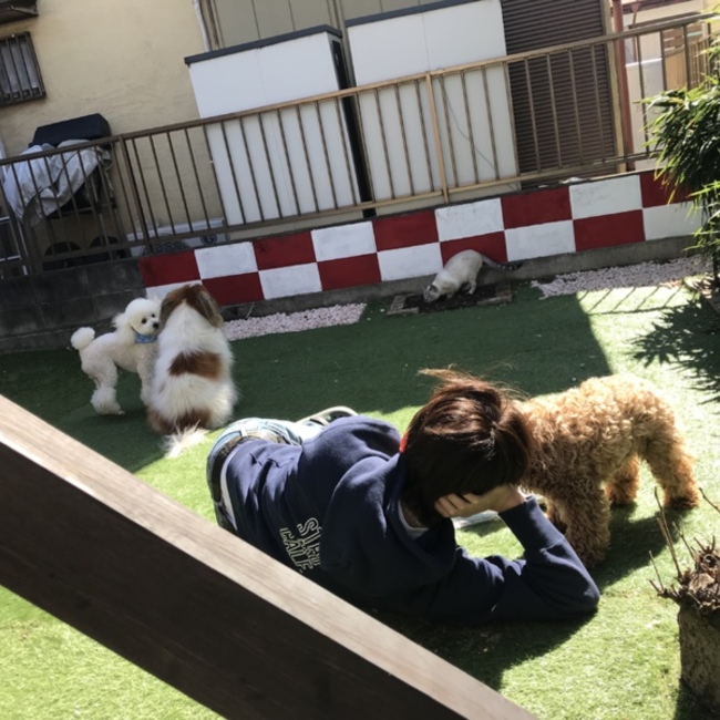 RISA1124のカバー写真