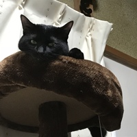れお