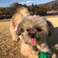 こじゅうろう