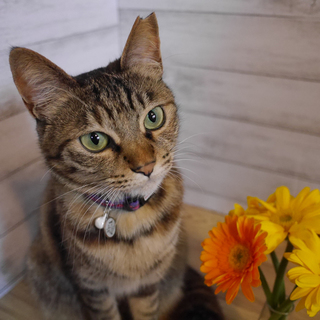 人が大好き♥スミレちゃん