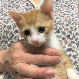 仲良し兄妹★スクスク元気に育ってます