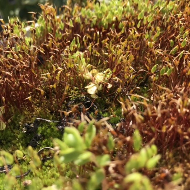 なみひでのカバー写真