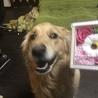 の写真