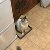 シメジぃ さん