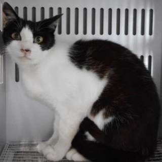 動物愛護団体様が引き出して下さいました。