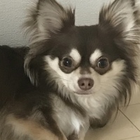 まろん