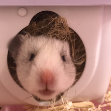 の写真