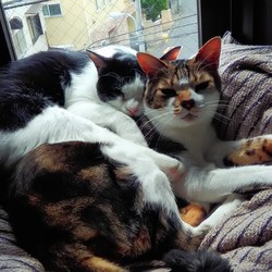 ながおのハゲ、私に感染