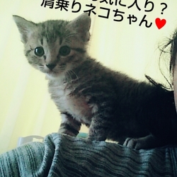 かい君成長日記