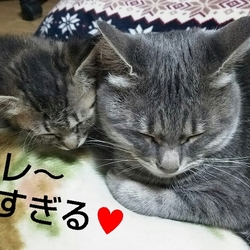 「かい君成長日記」サムネイル3