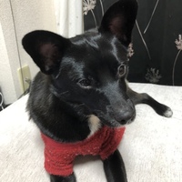 つな
