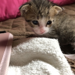 行かないで！と泣き叫ぶ