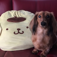 クロム