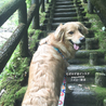 の写真