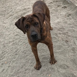 家族になってください☆