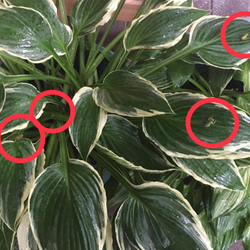 「答え合わせ( ´͈ ᵕ `͈ )閲覧注意」サムネイル2