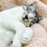 おでこ5215