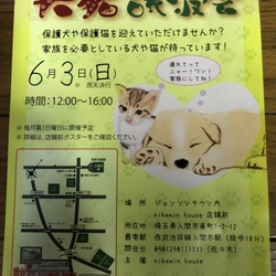 入間市ジョンソンタウン犬猫譲渡会