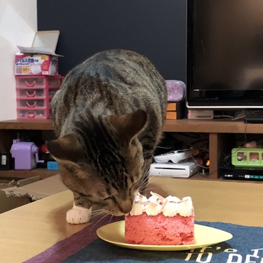 一歳の誕生日に