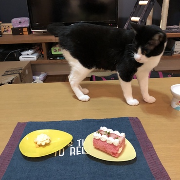 相方みやびの一歳の誕生日に