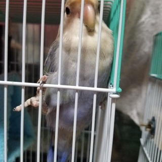 可愛がって下さる方