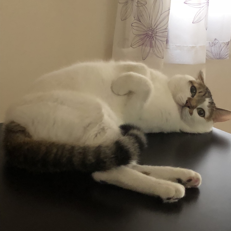きちたのカバー写真