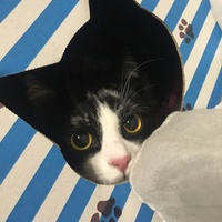 しーちゃん