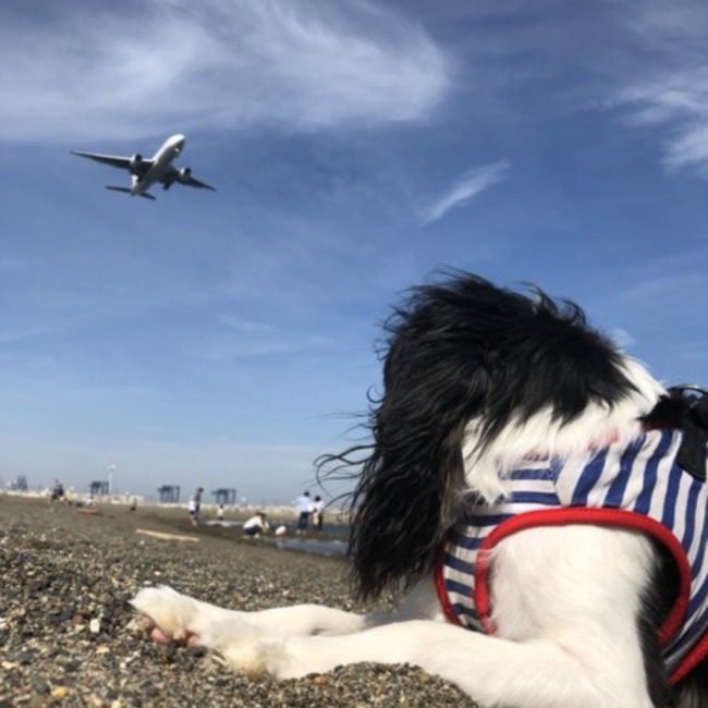 よっかママのカバー写真