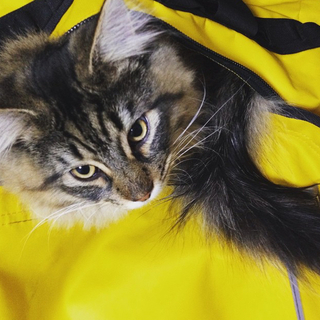 優しい男の子です