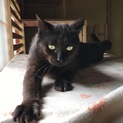 ラックくん、正式譲渡になりました。感謝。